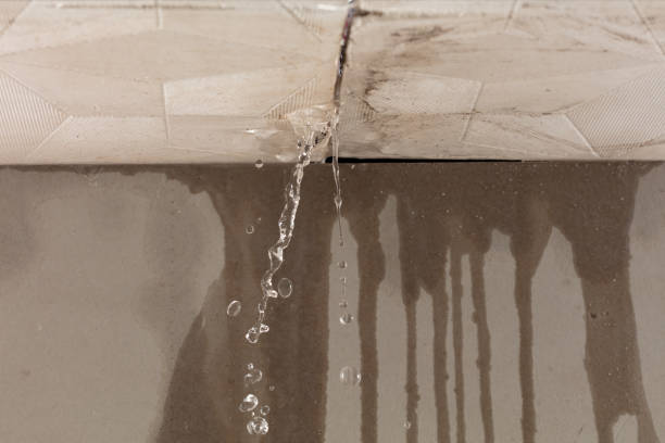 Professional Burst Pipe Cleanup technician working in Lester, AL